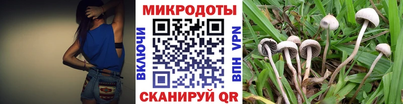 купить  сайты  Суздаль  Псилоцибиновые грибы Magic Shrooms 